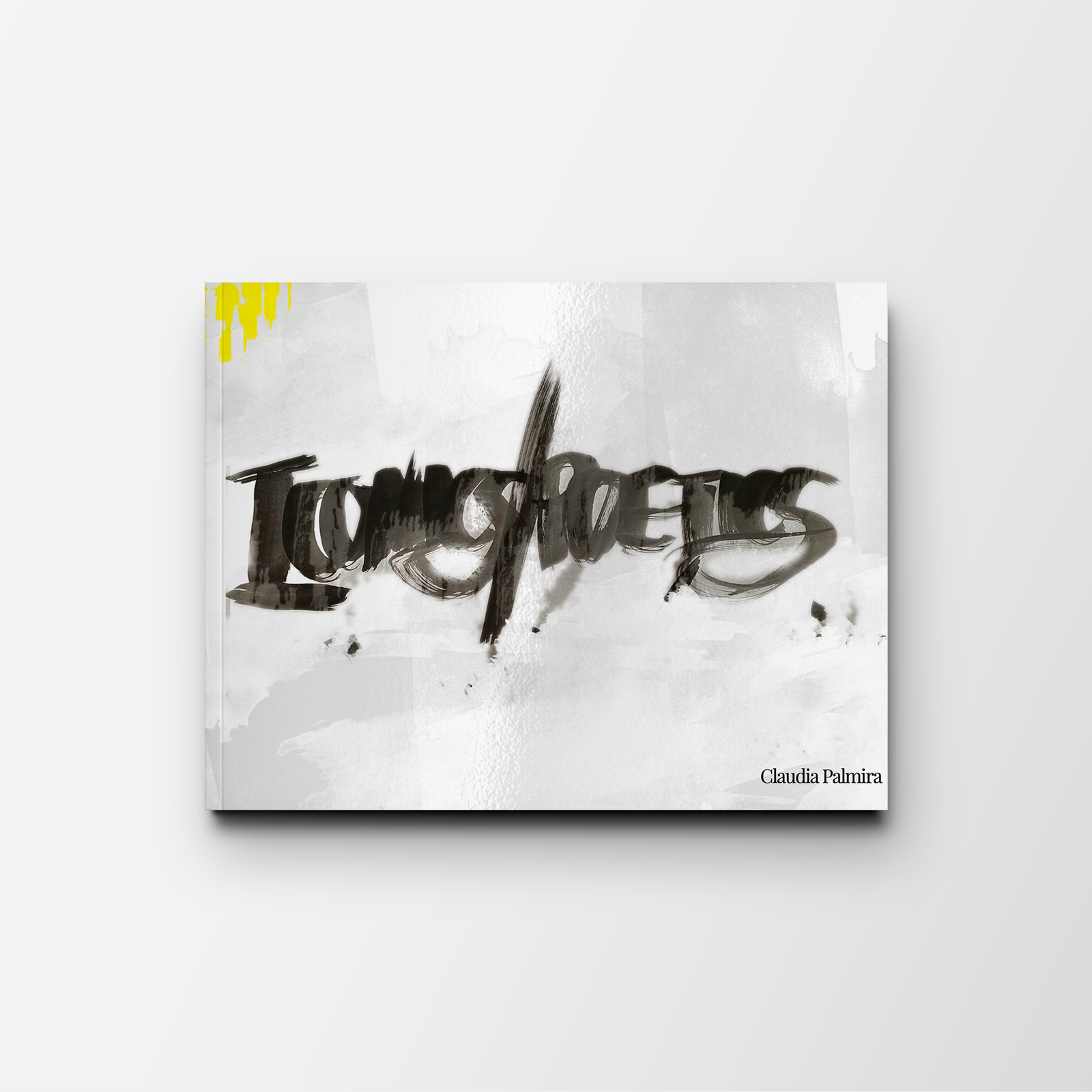 100 Iconics/Poetics